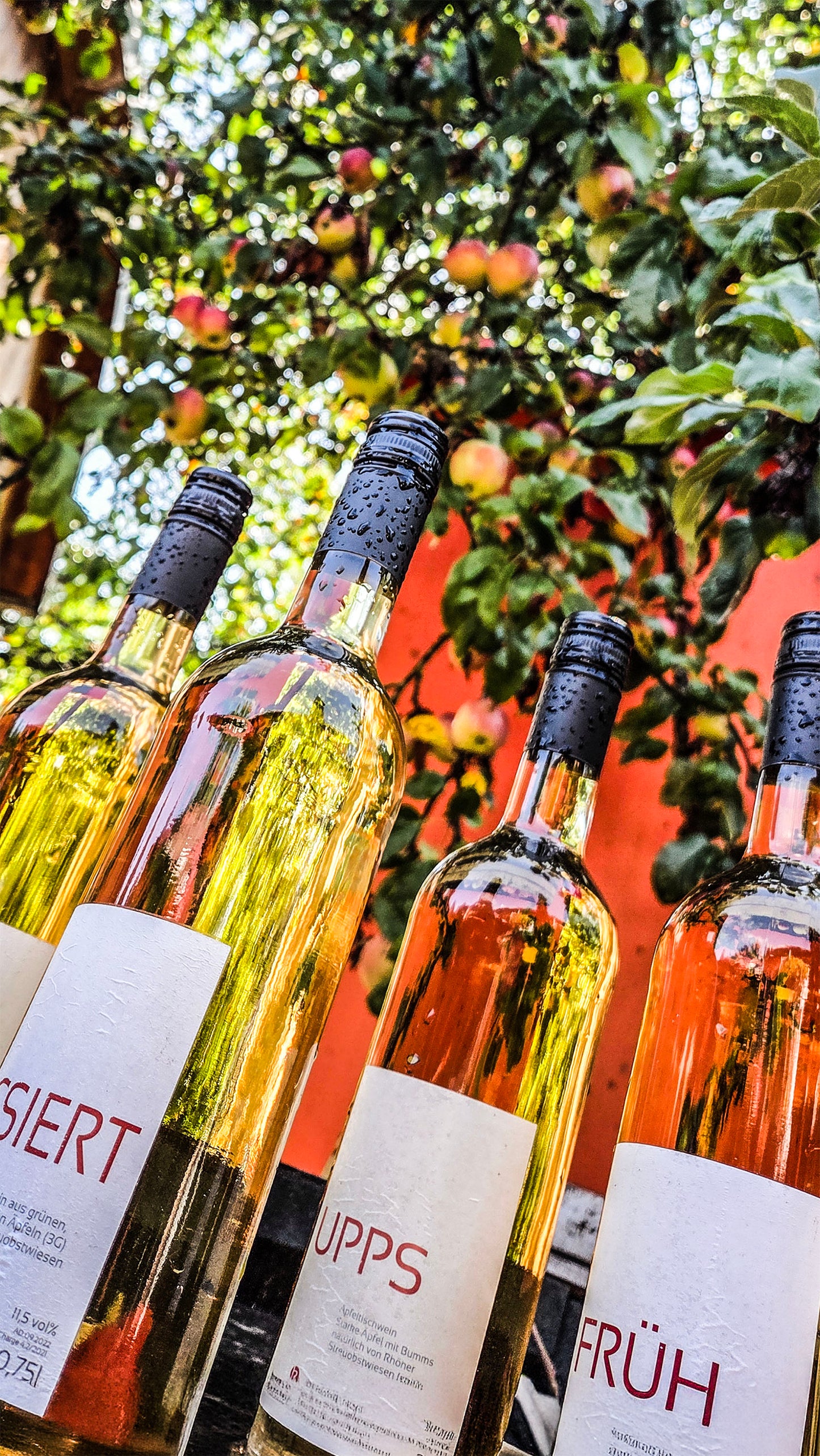 Wertgutschein für alle Erlebnisse in krenzers rhön