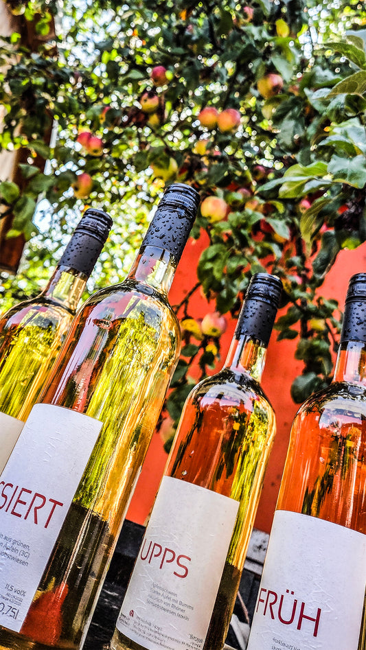 Wertgutschein für alle Erlebnisse in krenzers rhön