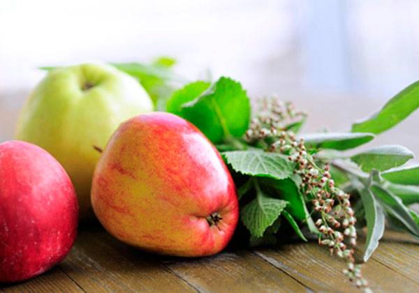 0481-Rh-nschaf-Hotel-Krone-2012-Kr-uter-Apfelbild