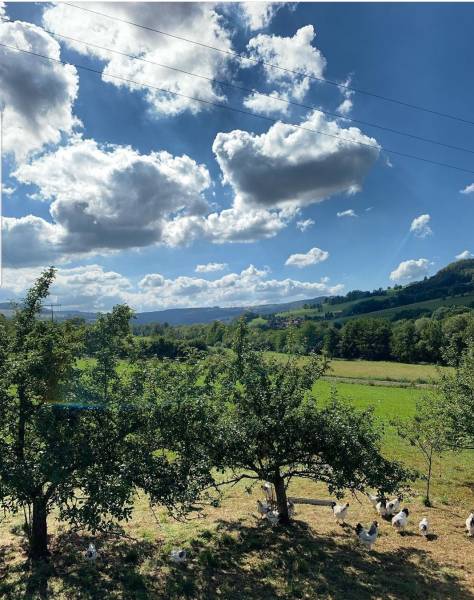 Screenshot_20200915-164347_Instagram